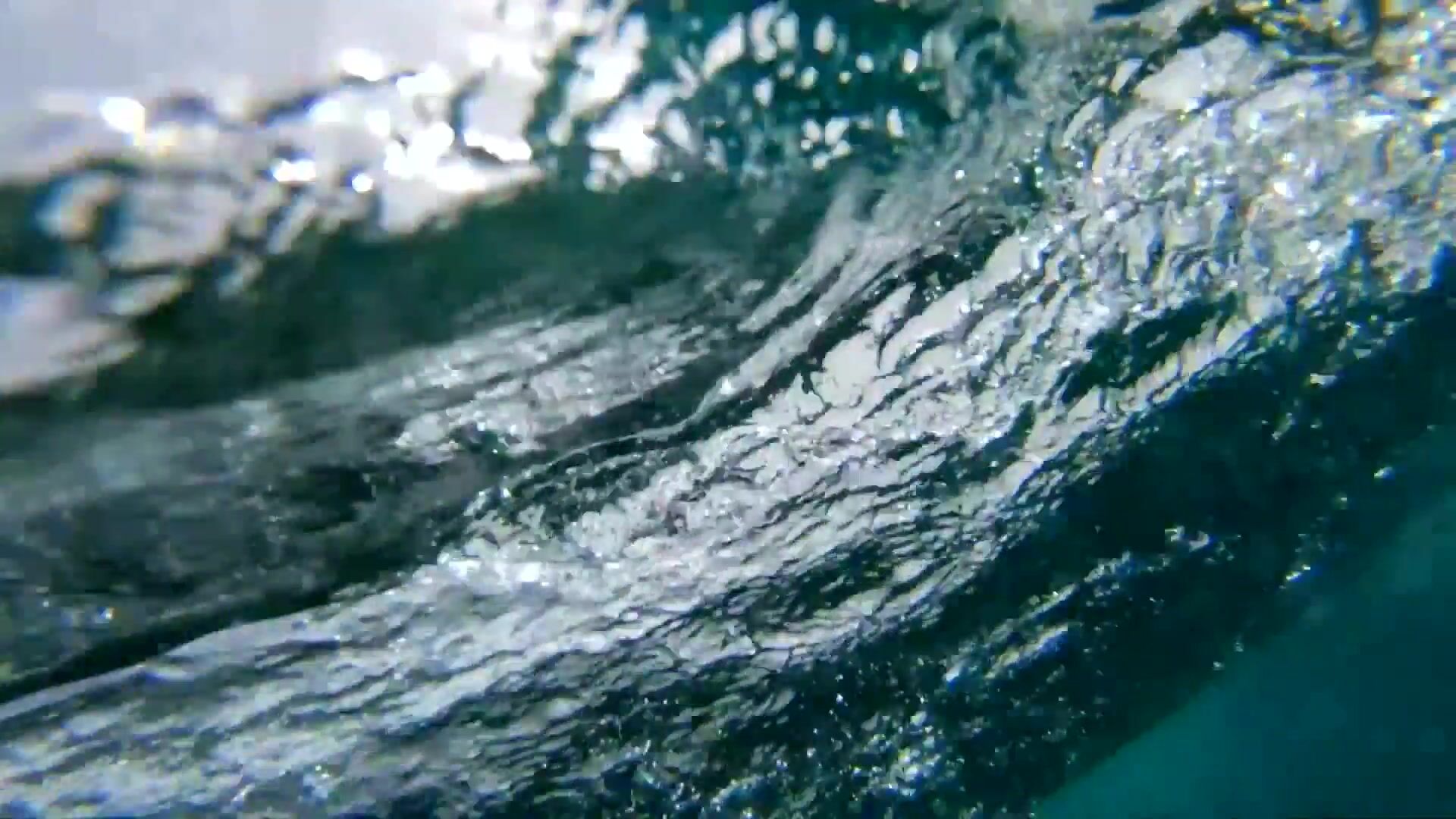 Oceana - Kickstarter